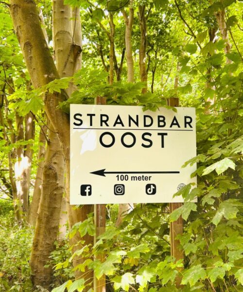 in de woods in de woods